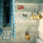 "Foa Hoka. Analogue Traffic" 2008