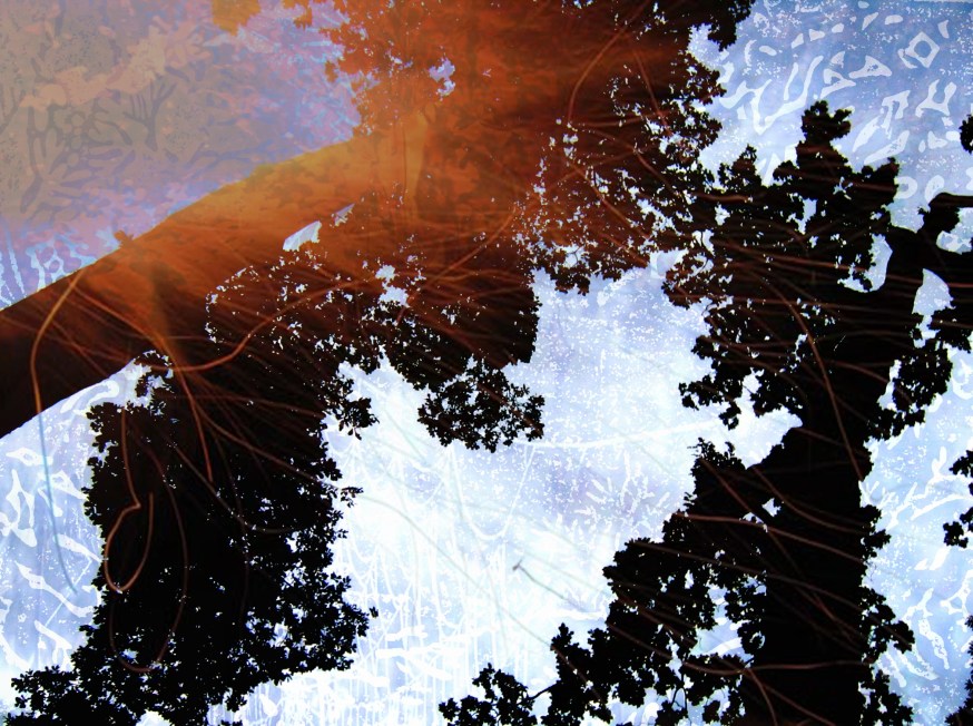 The Modulation of Breathing 2